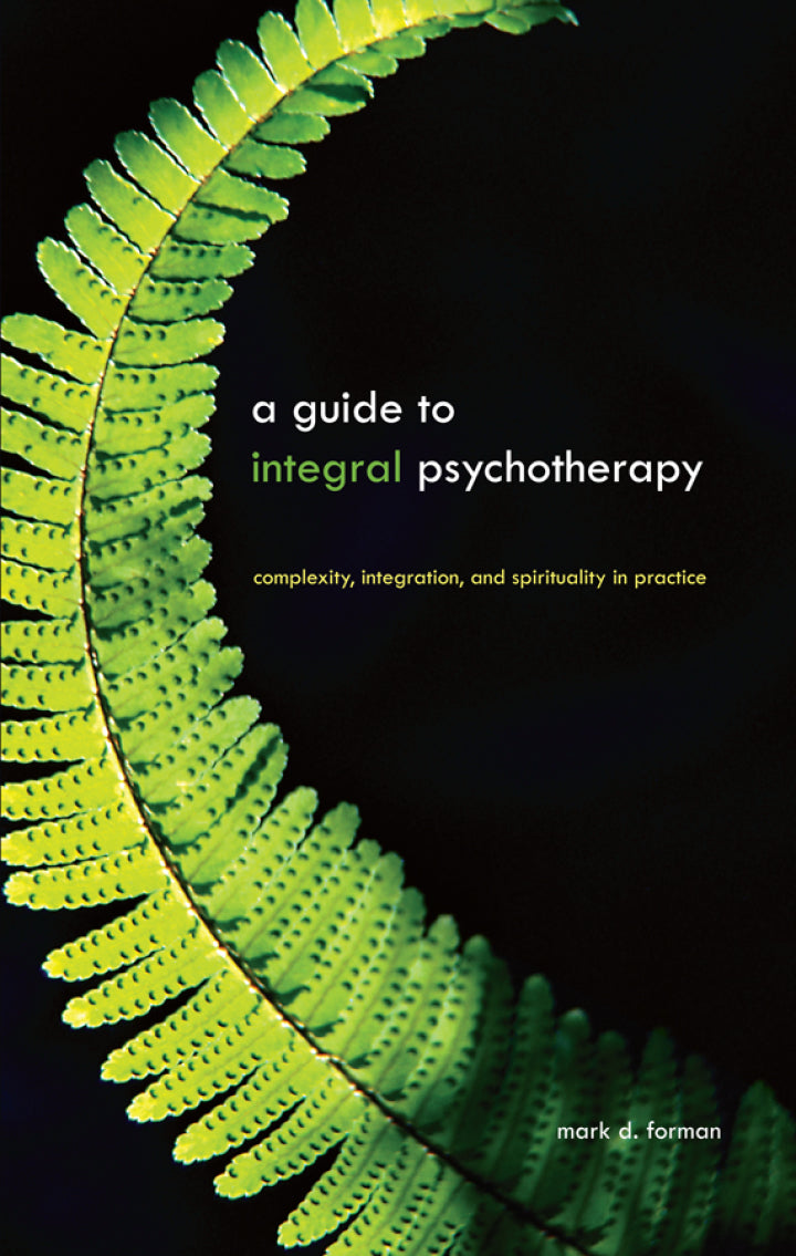 A Guide to Integral Psychotherapy Complexity, Integration, and Spirituality in Practice  PDF BOOK